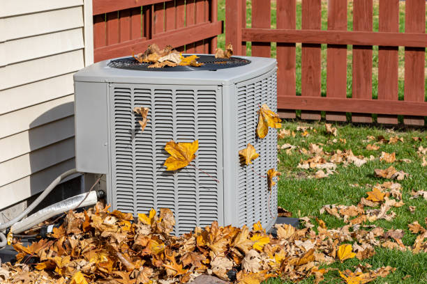 Best HVAC Repair Near Me  in Algoma, WI